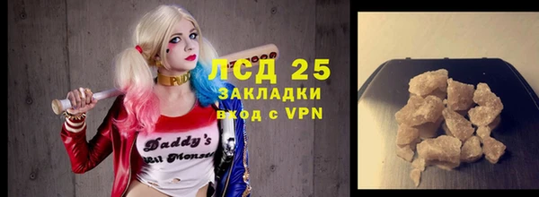 PSILOCYBIN Алзамай