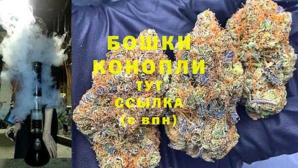 PSILOCYBIN Алзамай