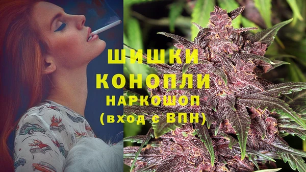 PSILOCYBIN Алзамай