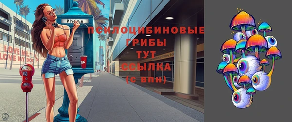 стафф Алексин