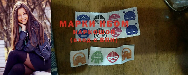 PSILOCYBIN Алзамай