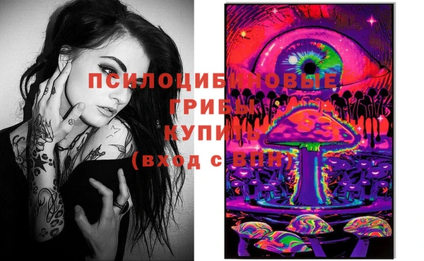 стафф Алексин