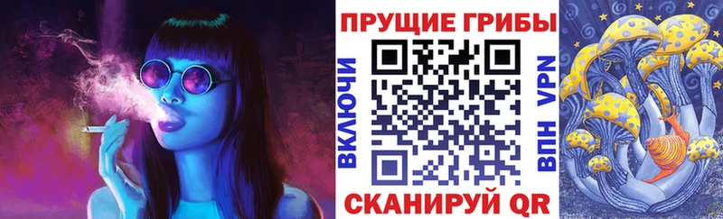 как найти наркотики  Павлово  Галлюциногенные грибы ЛСД 