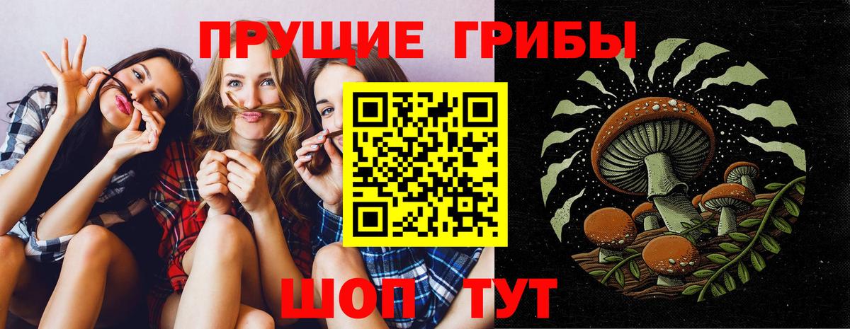 Галлюциногенные грибы Psilocybe  Вход с VPN  Павлово 