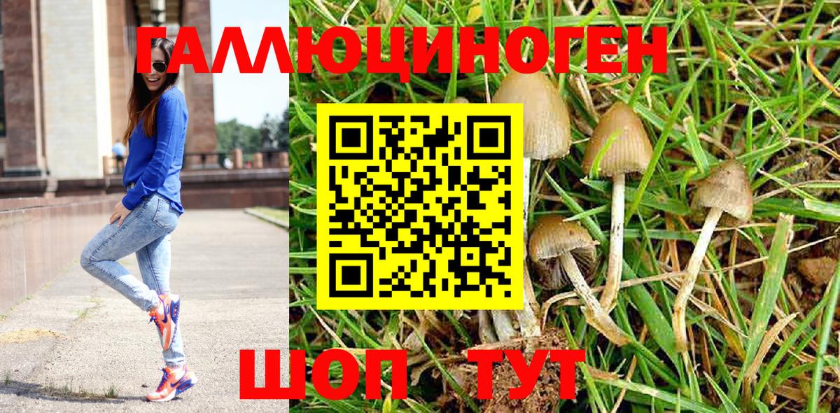 Галлюциногенные грибы Psilocybine cubensis Павлово